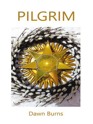 cover image of PILGRIM